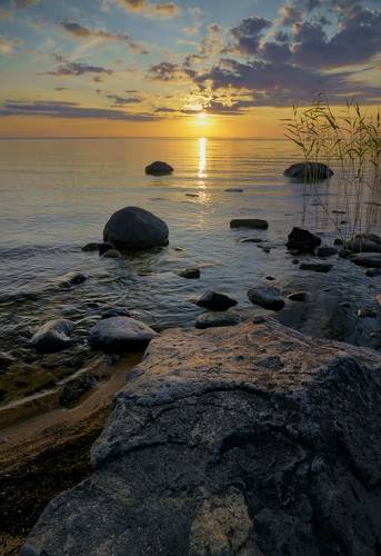 Доброе утро