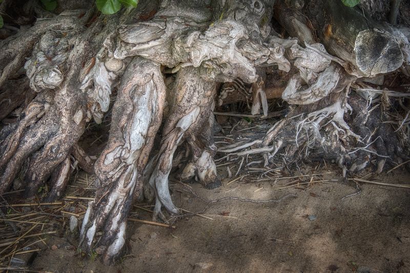 *** фото превью