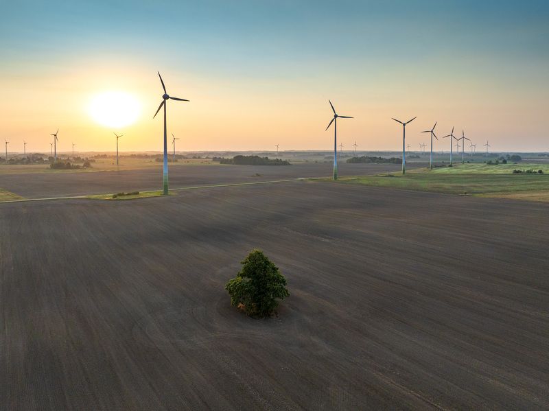 Утро в сентябре фото превью