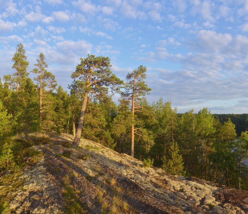 Карельская картинка фото превью