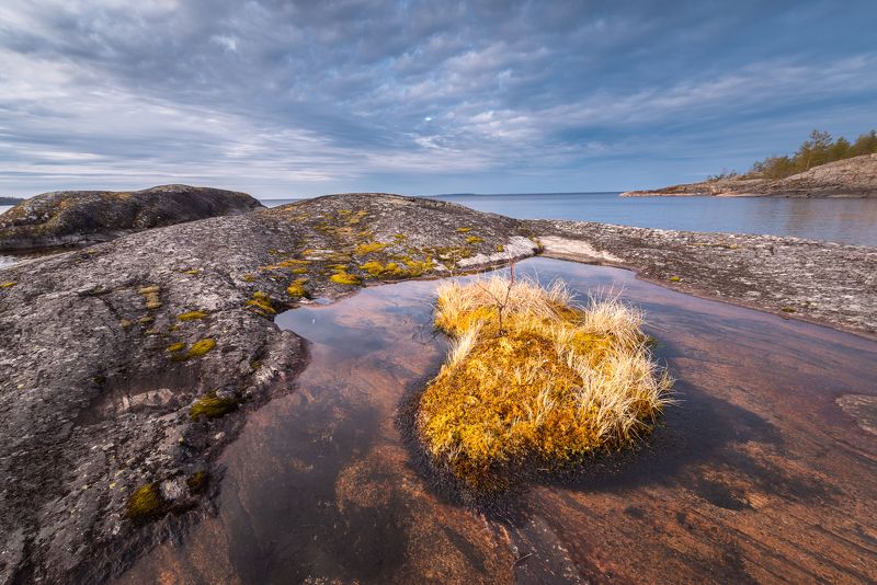 Ладога, скалы, озеро Островок на островке фото превью