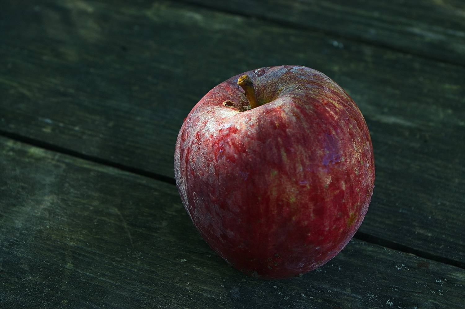 , Николаев Владимир