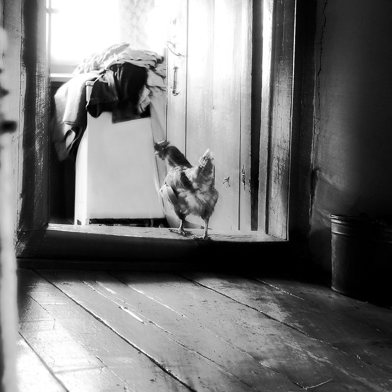 Проспать рассвет. фото превью