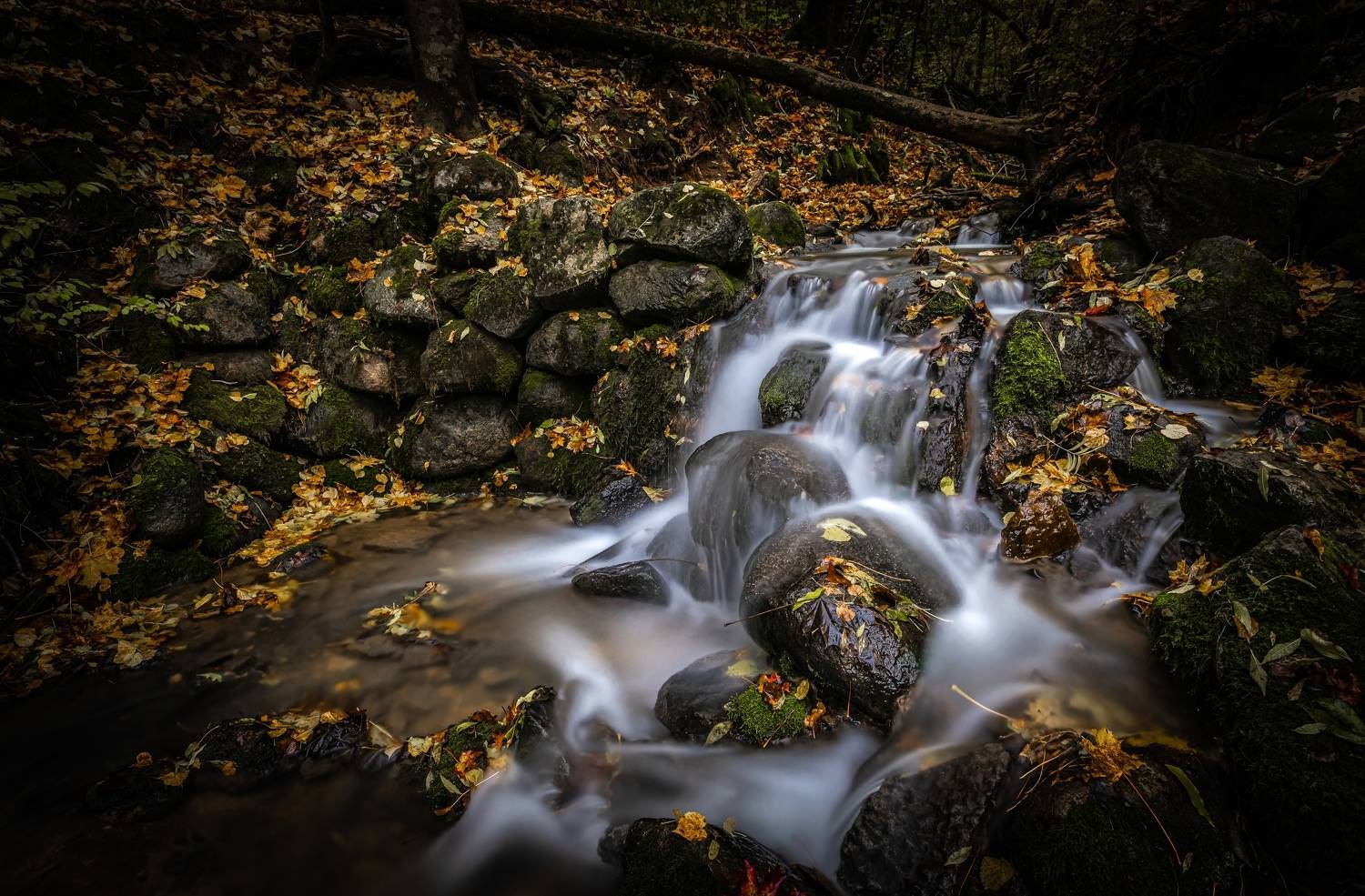 осень, изборск, путешествия, Rom@shkin