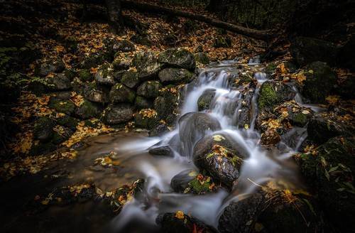 Мельничный ручей