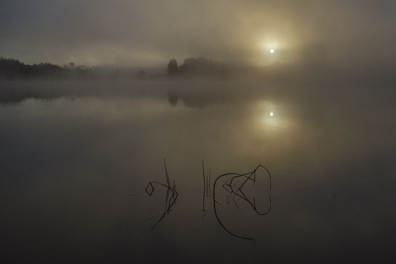 утро, рассвет, восход, архангельское Солнце в объятиях тумана фото превью