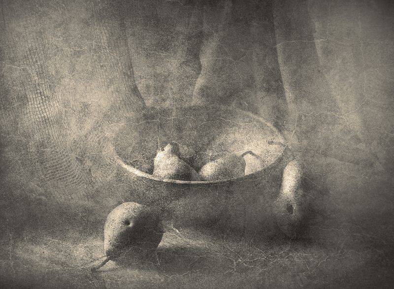 натюрморт, груши, монохром Утро с грушами фото превью
