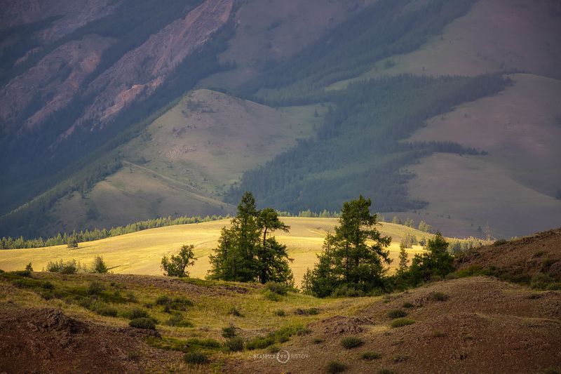 Глаз фото превью