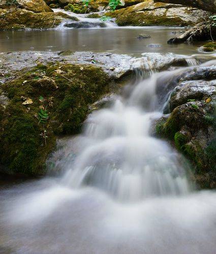 Симфония реки