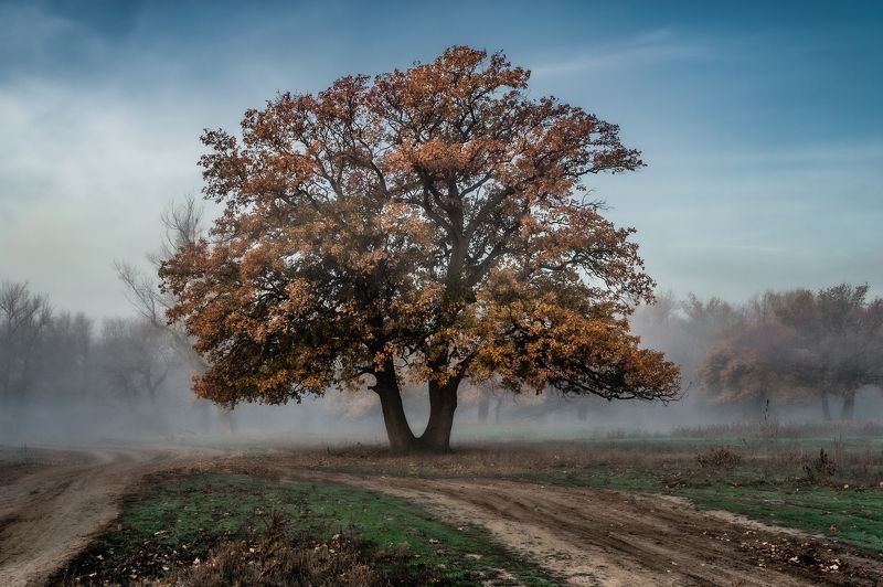 За туманом фото превью