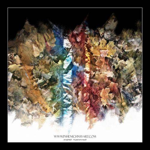 Осенние котрасты