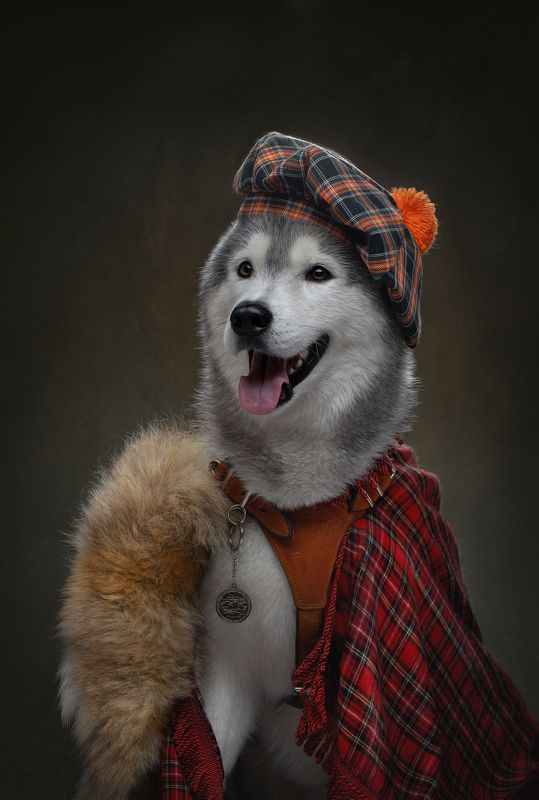 Образ Шотландца фото превью