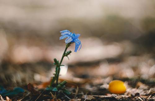 Предосеннее.