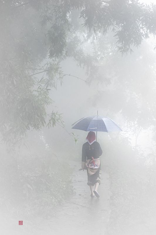 Foggy day фото превью