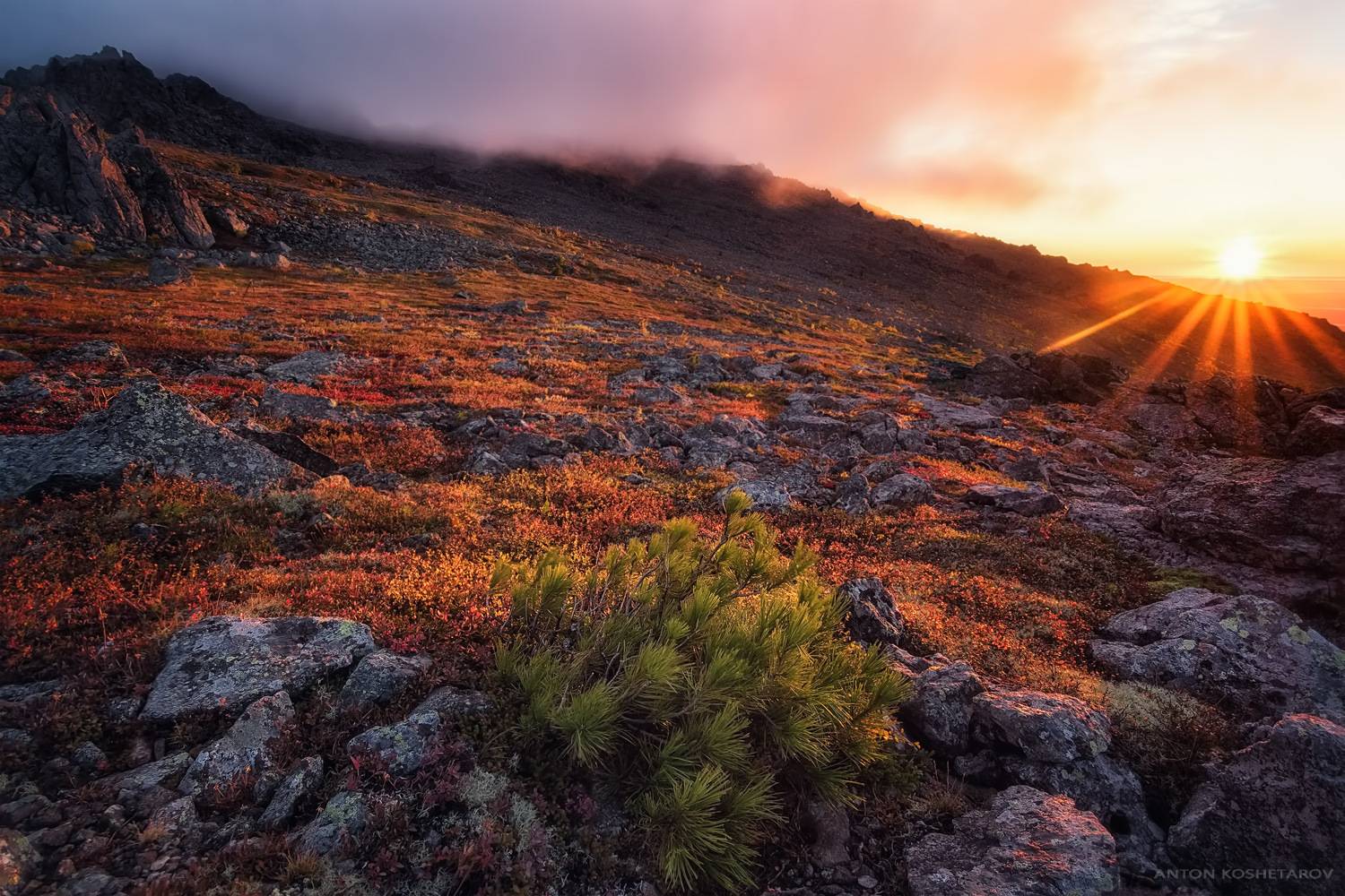 , Антон Кошетаров