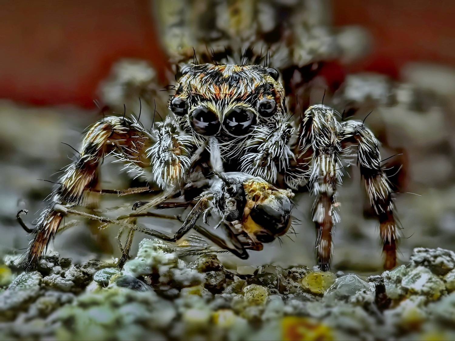 , Кузнецов Дмитрий