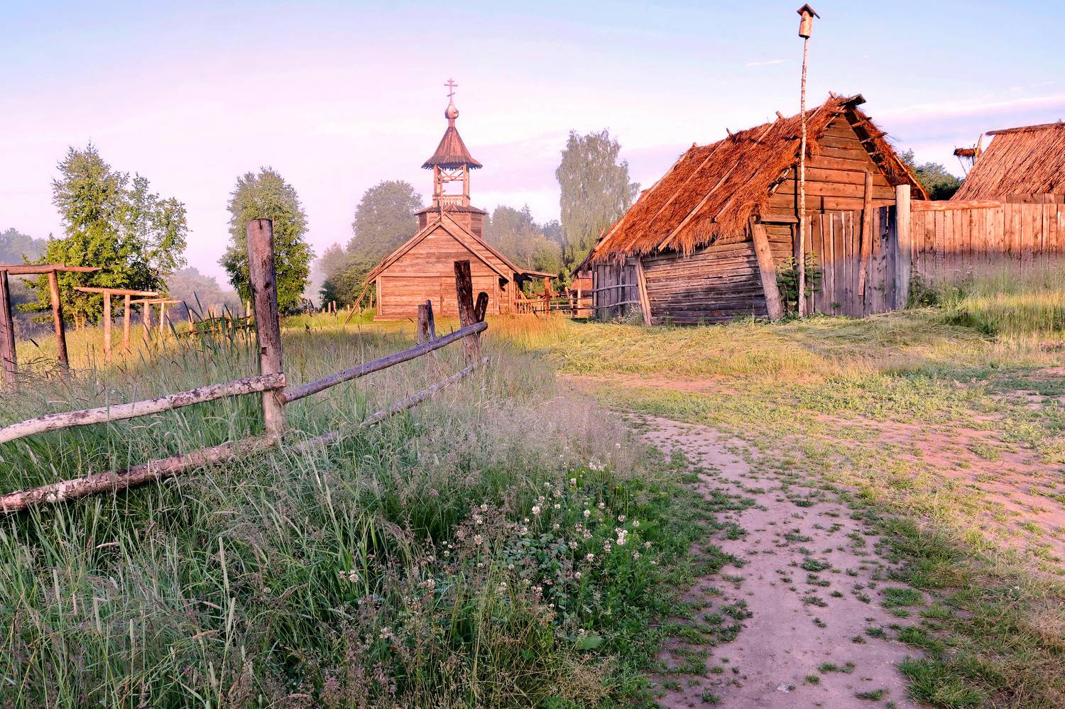 , Добролюбова Тамара