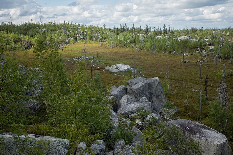 Карелия. Гора Воттоваара. 1 августа 2024. фото превью