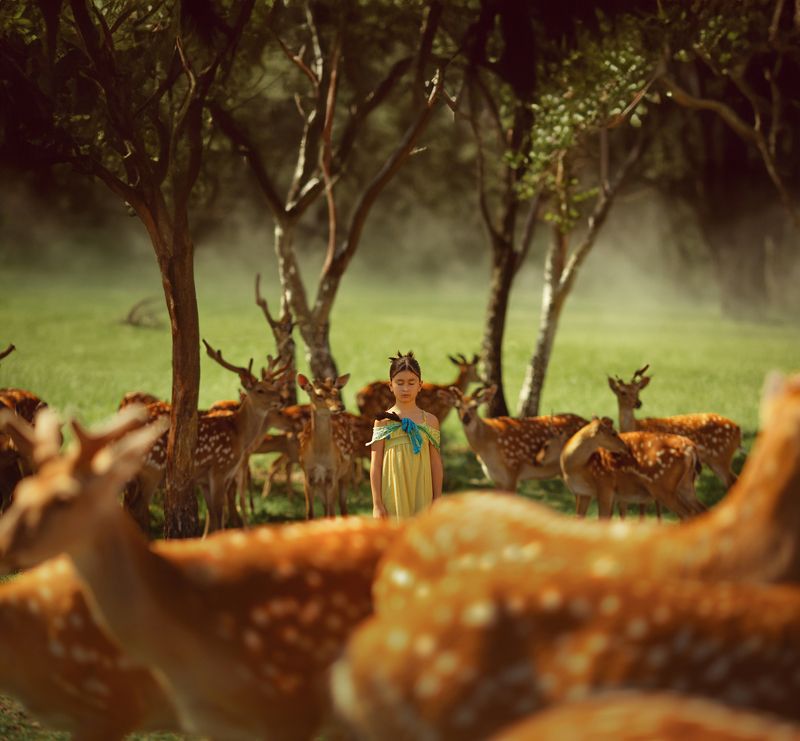 фото превью