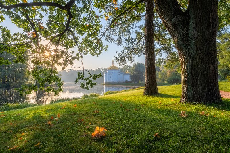 Утро в Екатерининском парке. фото превью
