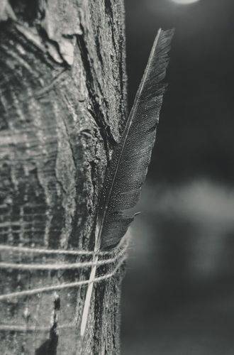 В канун наступившей осени.