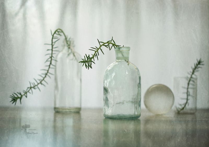 *** фото превью