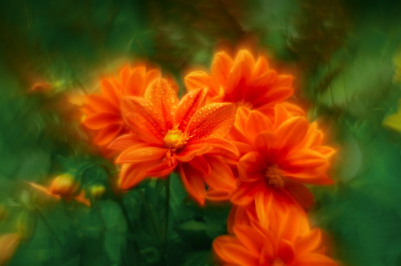 ... фото превью