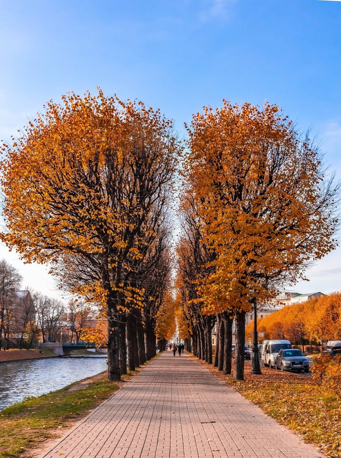 архитектура, питер, осень, осеннийгород,сердцегорода,санктпетербург, Rom@shkin