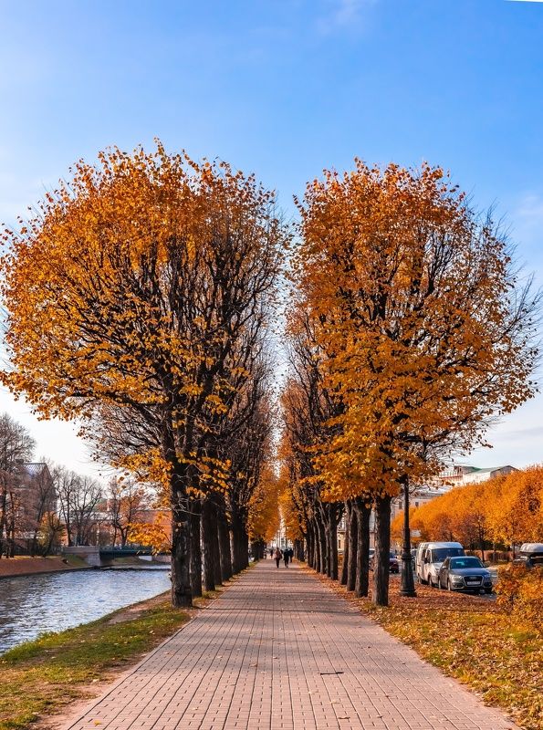 архитектура, питер, осень, осеннийгород,сердцегорода,санктпетербург Осеннее сердце города фото превью