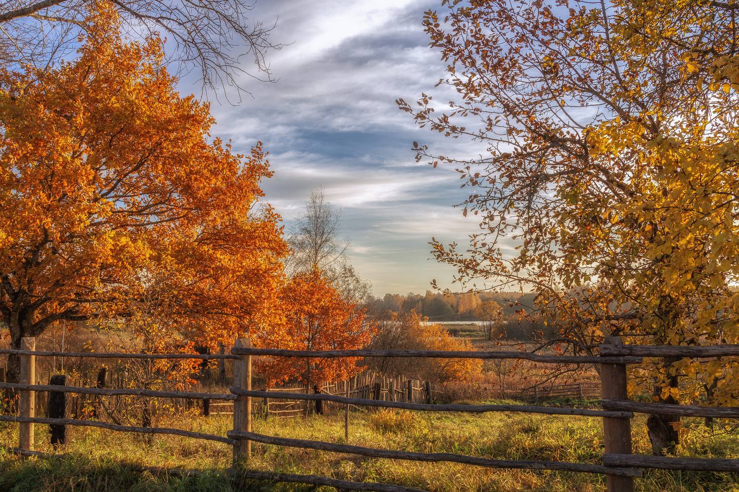 тверская, область, Гусева Елена