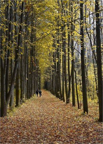 А вот и Осень...