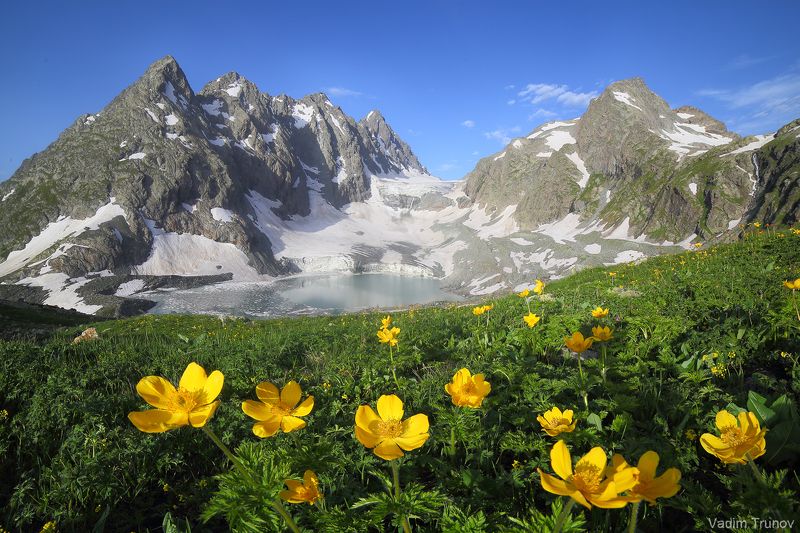 Amanauz Glacier фото превью