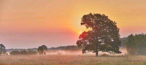 Сентябрь. Утро в походе