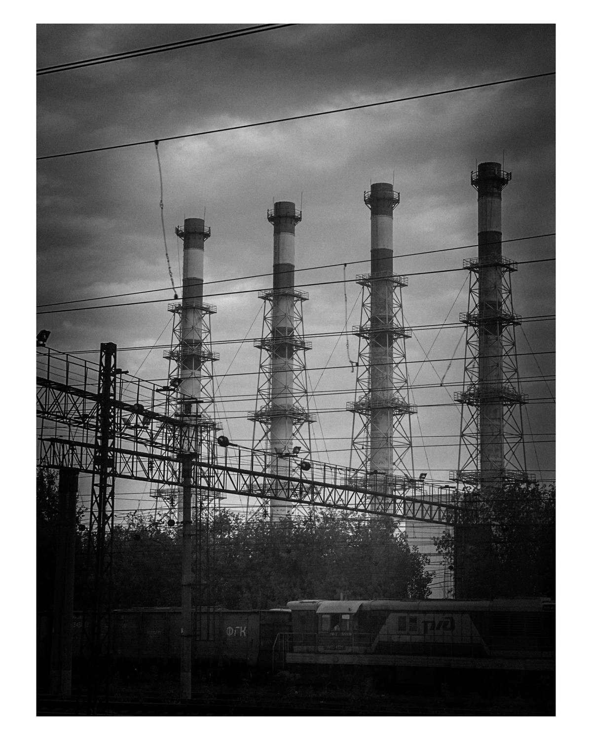 , Щеглова Марина