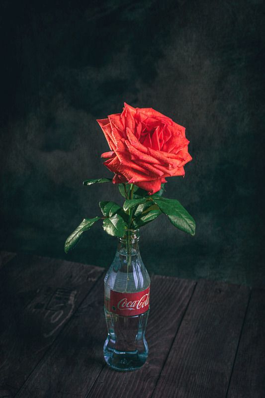 Роза в бутылке фото превью