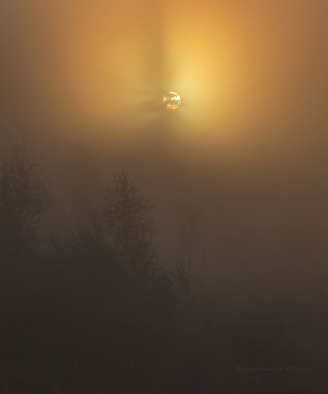 пейзаж, ленобласть, туман, landscape, nature, природа, foggy, forest, рассвет, болото, ленинградская область Рассвет на болоте фото превью