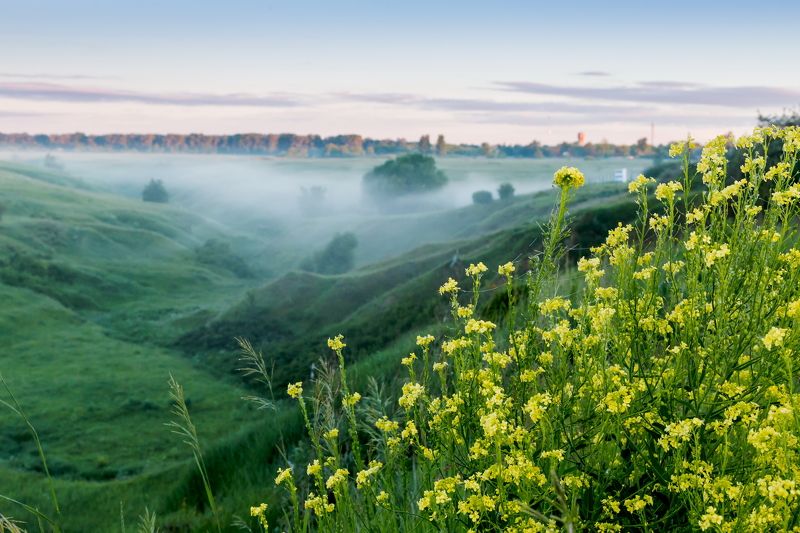 туман, лощина, утро, пейзаж Утро фото превью