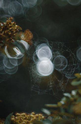 Летние тонкости.