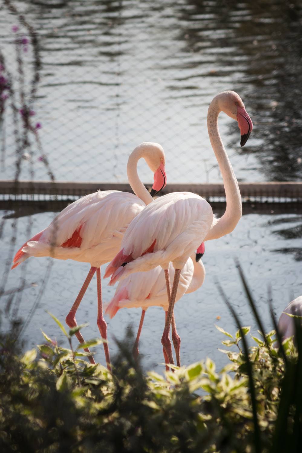 , Клюков Виталий