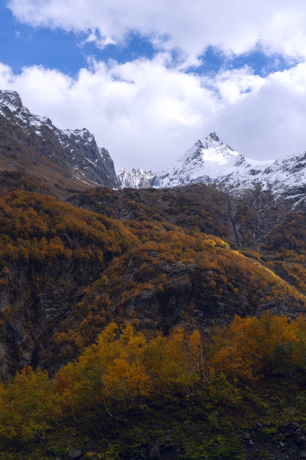 , Юлия Мальцева