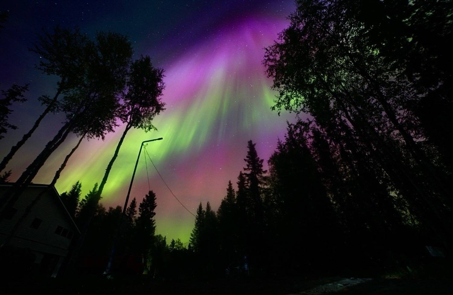 северное сияние, вспышка, буря, север, осень, лес, сосны, северный край, Алёна Салтыкова