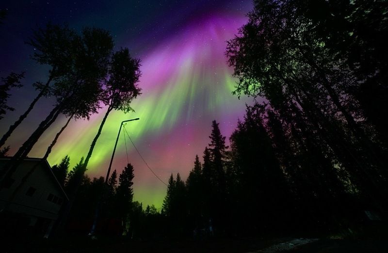 северное сияние, вспышка, буря, север, осень, лес, сосны, северный край Вспышка на небе фото превью