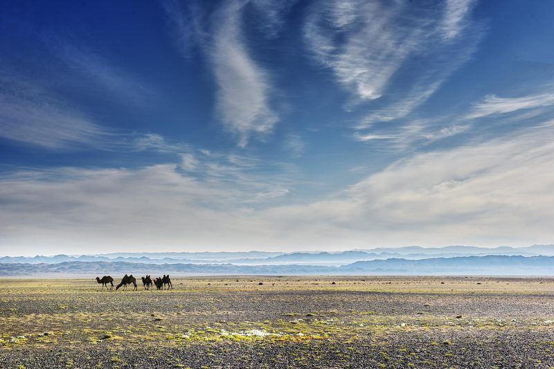Монголия фото превью