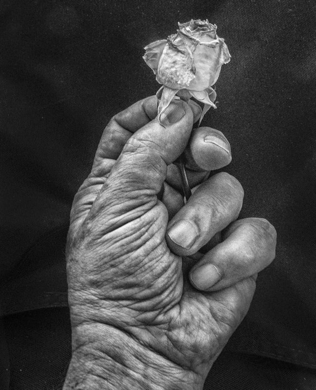 *** фото превью