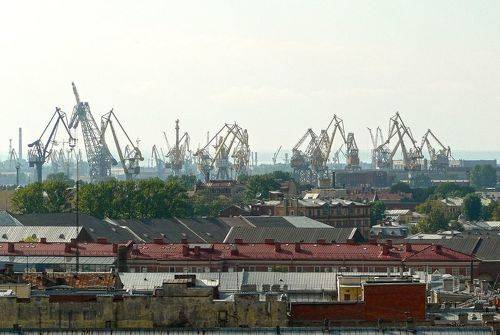 Жирафы Санкт-Петербурга