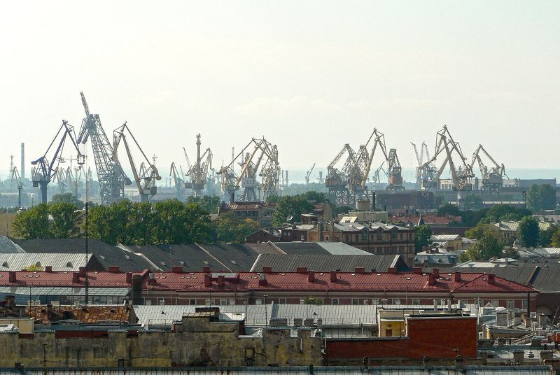 Жирафы Санкт-Петербурга фото превью