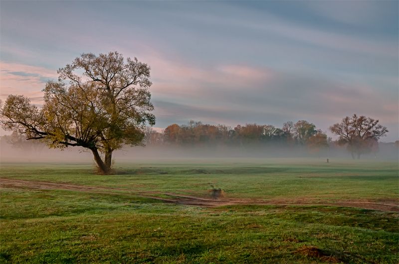туман утро Туманный рассвет фото превью
