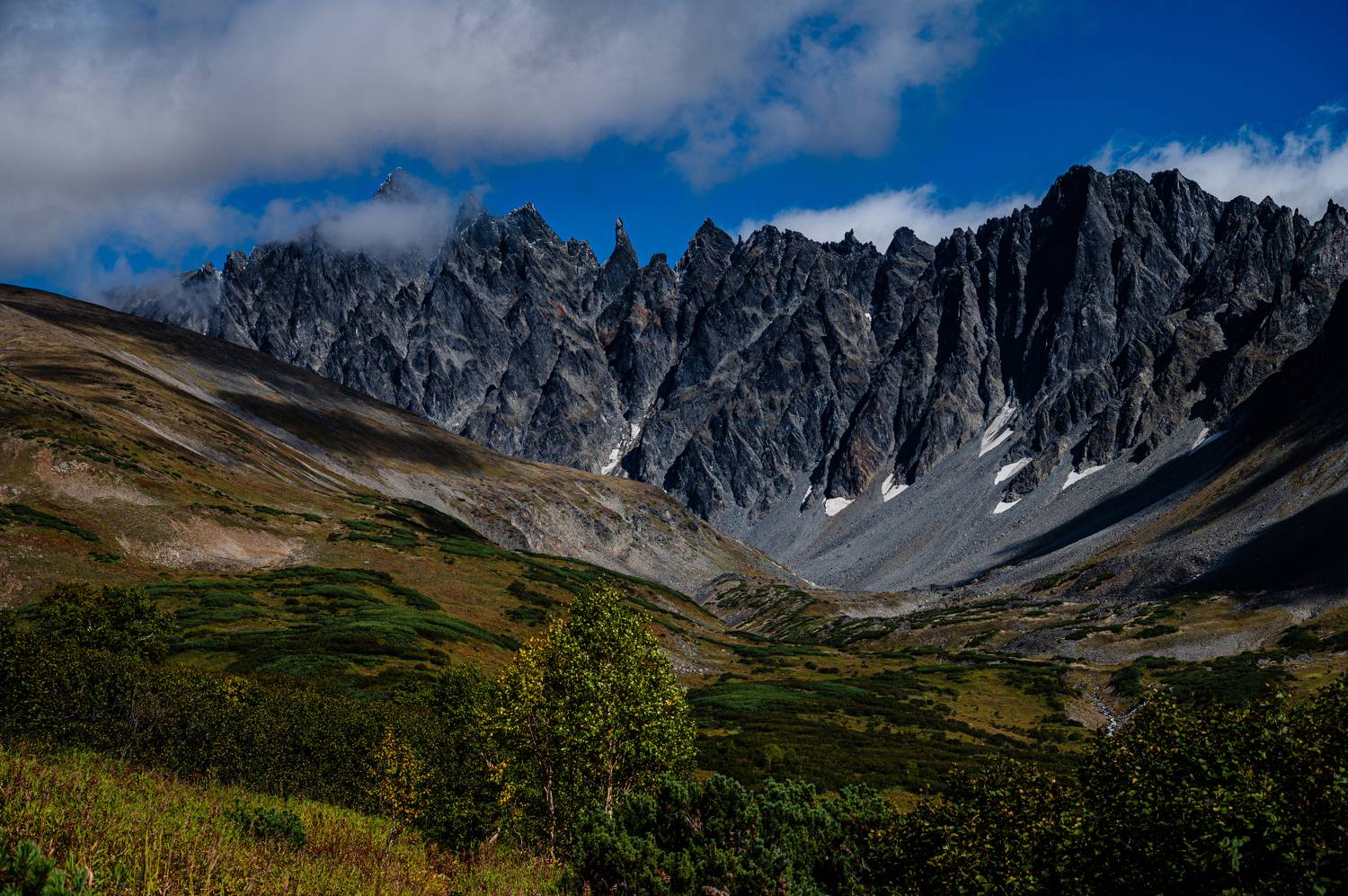 , Александр Мухин