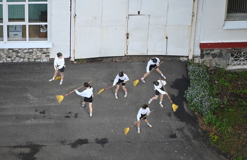 Желтая метла фото превью