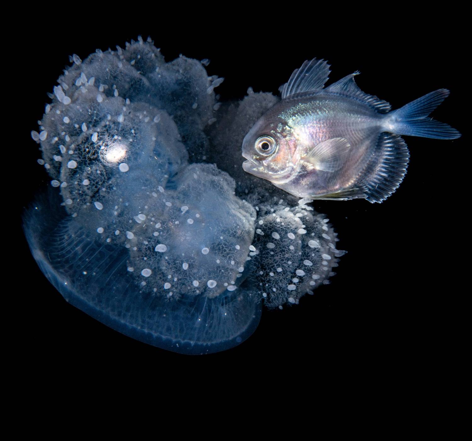 #mluwphotography , M&aacute;rquez Magali